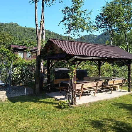 Casa De Vacanta Vidrighin Rau Sadului ภายนอก รูปภาพ