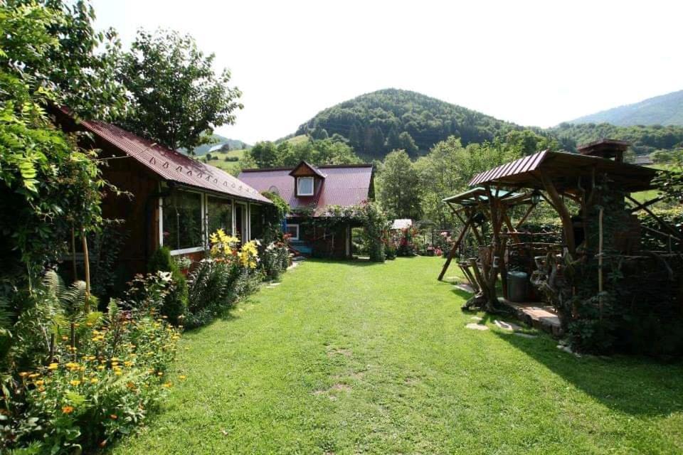 Casa De Vacanta Vidrighin Rau Sadului ภายนอก รูปภาพ