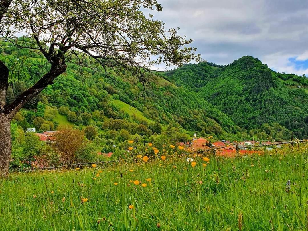 Casa De Vacanta Vidrighin Rau Sadului ภายนอก รูปภาพ