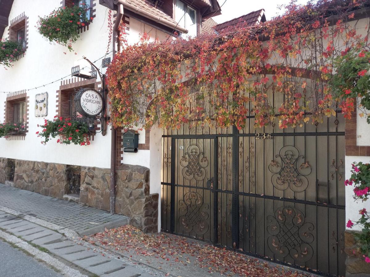 Casa De Vacanta Vidrighin Rau Sadului ภายนอก รูปภาพ