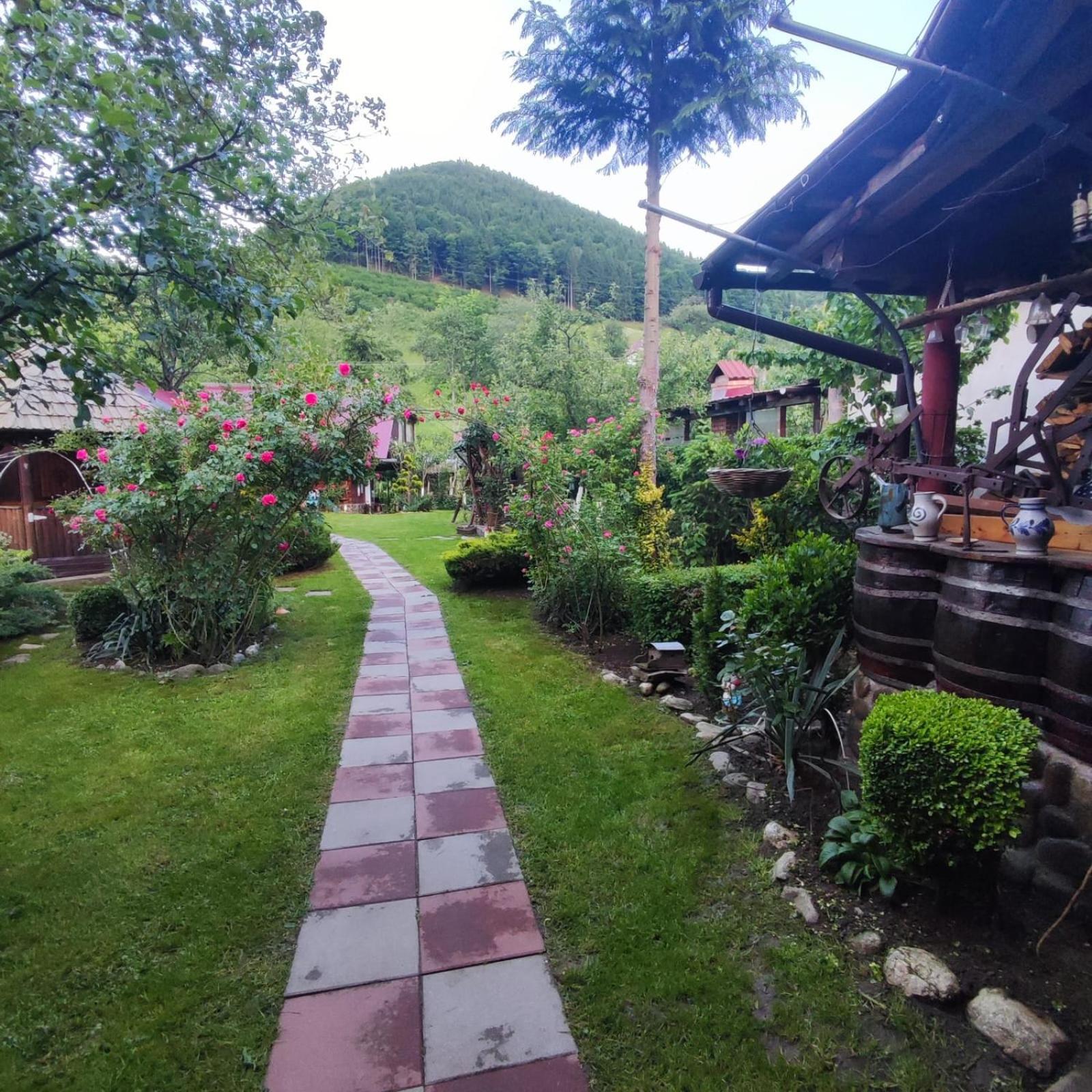 Casa De Vacanta Vidrighin Rau Sadului ห้อง รูปภาพ