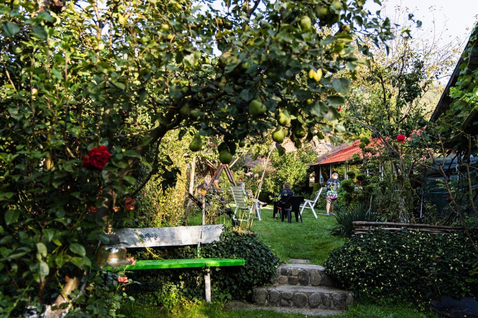 Casa De Vacanta Vidrighin Rau Sadului ห้อง รูปภาพ