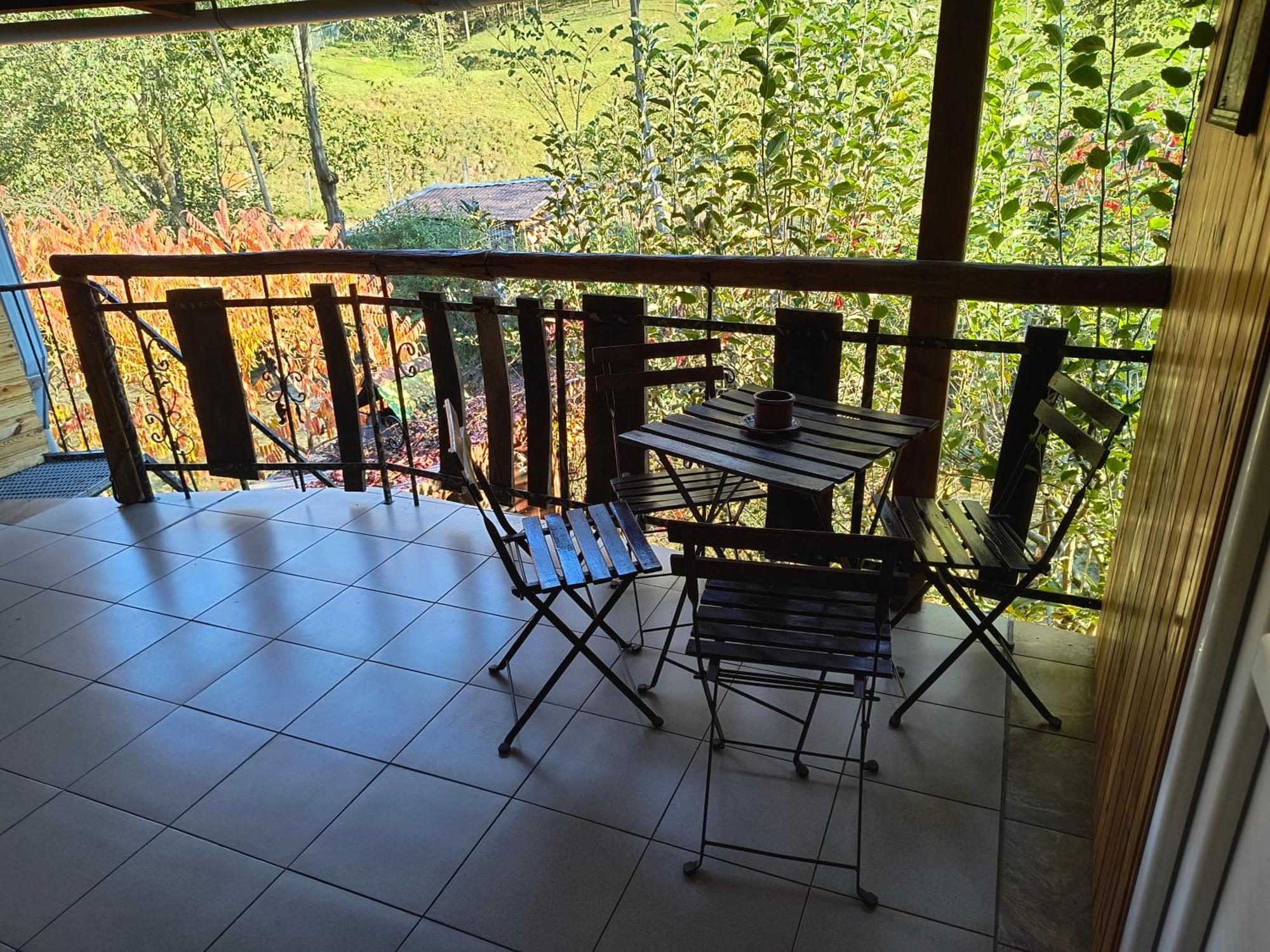 Casa De Vacanta Vidrighin Rau Sadului ห้อง รูปภาพ