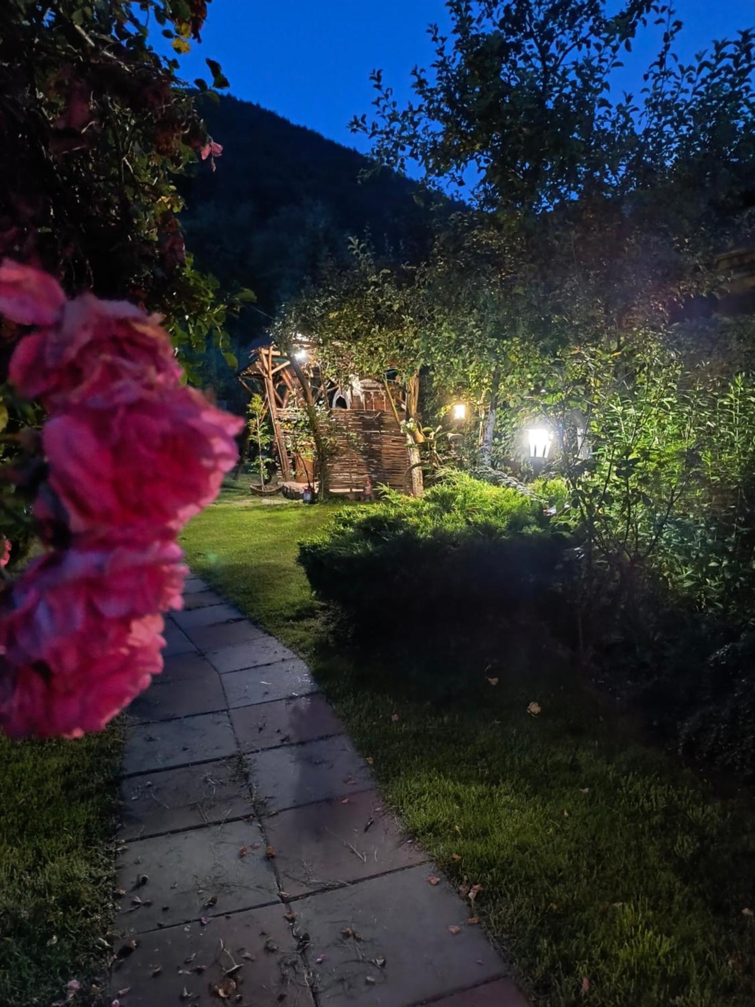 Casa De Vacanta Vidrighin Rau Sadului ห้อง รูปภาพ