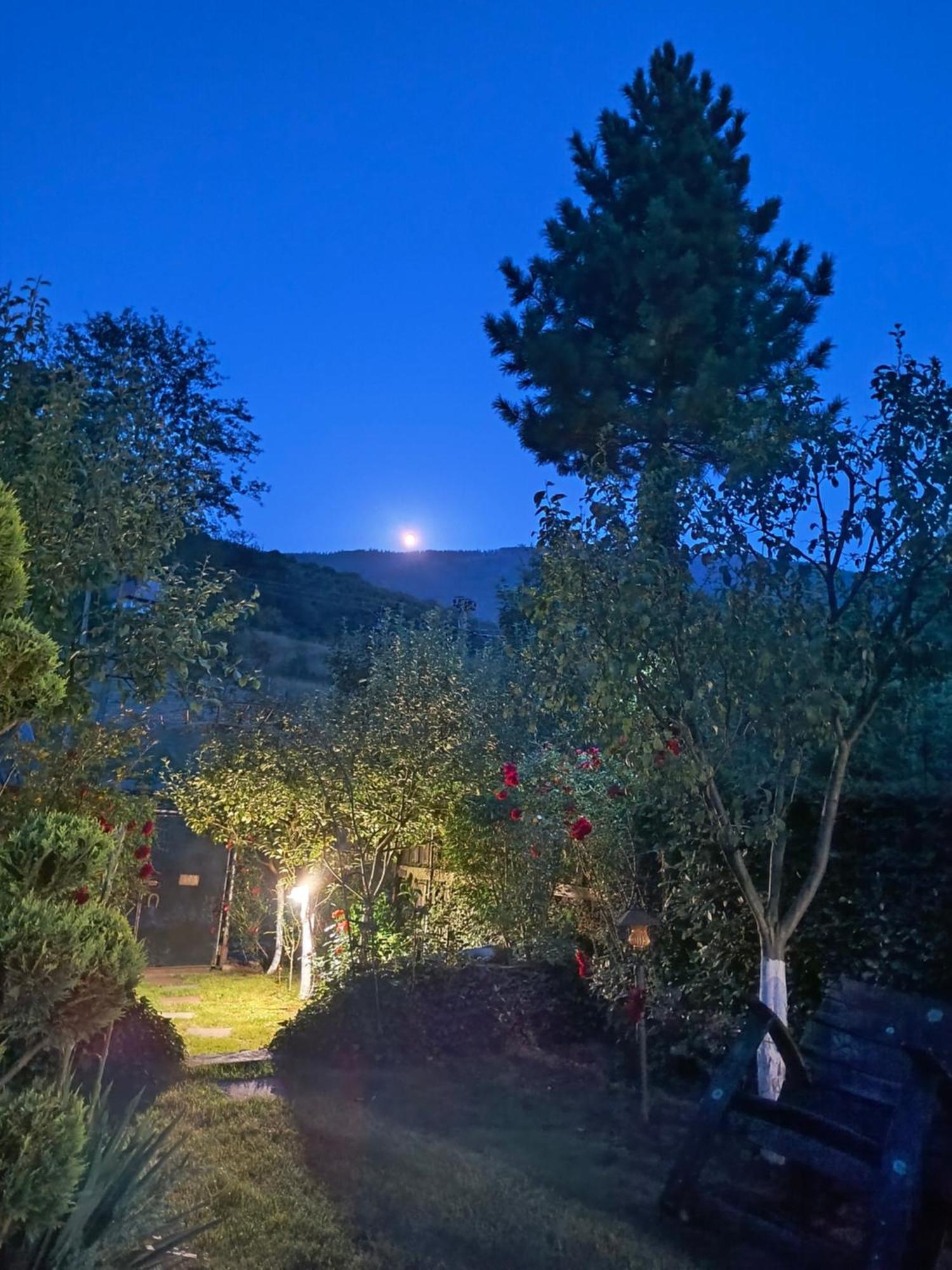 Casa De Vacanta Vidrighin Rau Sadului ภายนอก รูปภาพ