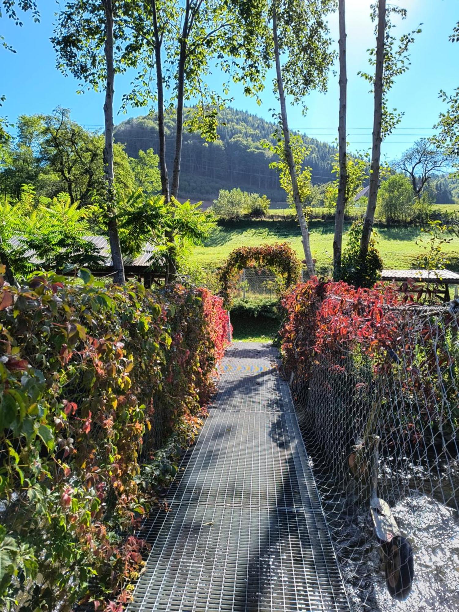 Casa De Vacanta Vidrighin Rau Sadului ภายนอก รูปภาพ
