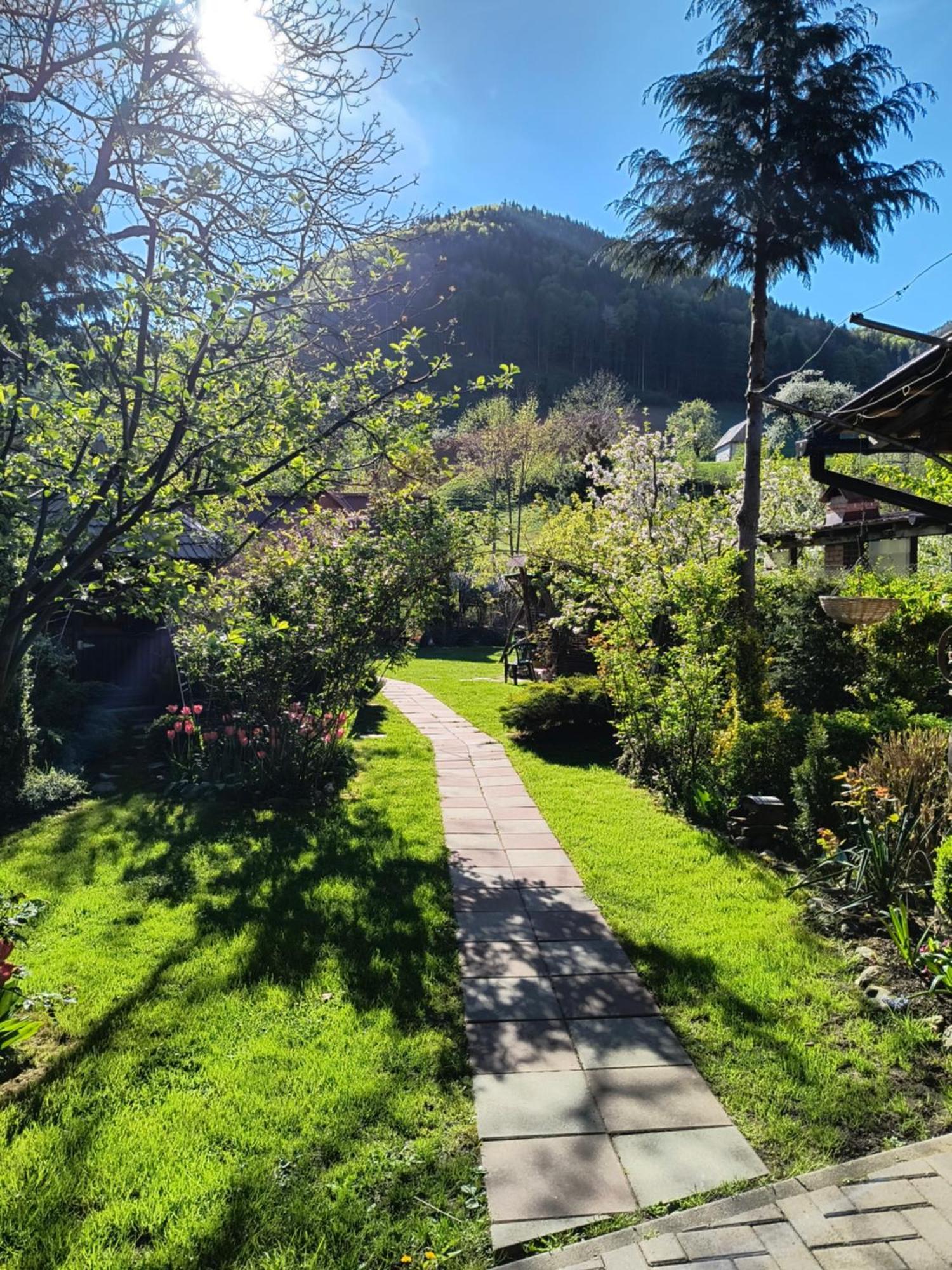 Casa De Vacanta Vidrighin Rau Sadului ภายนอก รูปภาพ