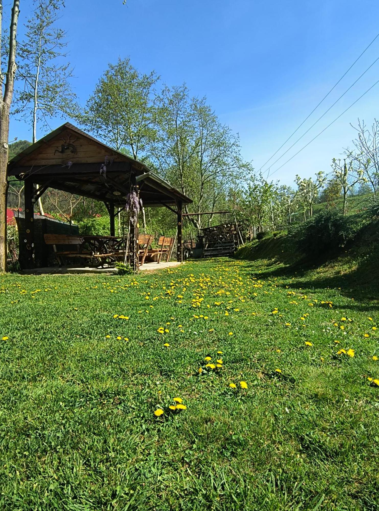Casa De Vacanta Vidrighin Rau Sadului ภายนอก รูปภาพ